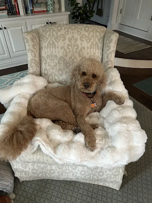 Bernardsville Animal Hospital Picture 7