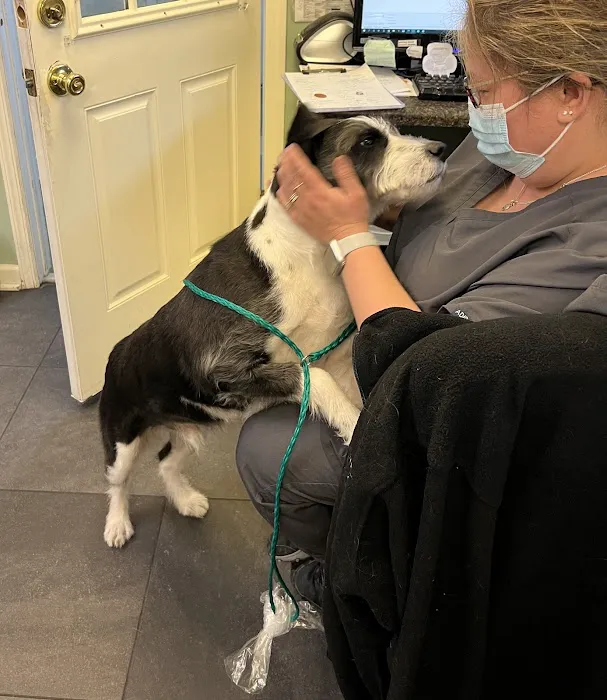 Bernardsville Animal Hospital Picture 9