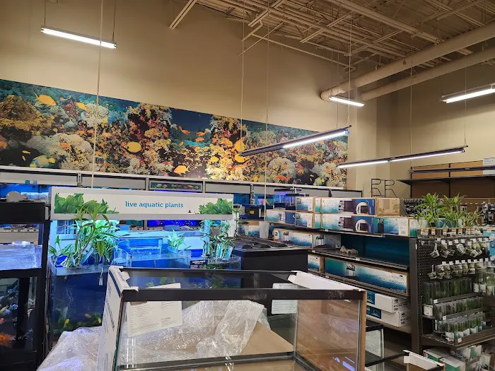 Petco Picture 3