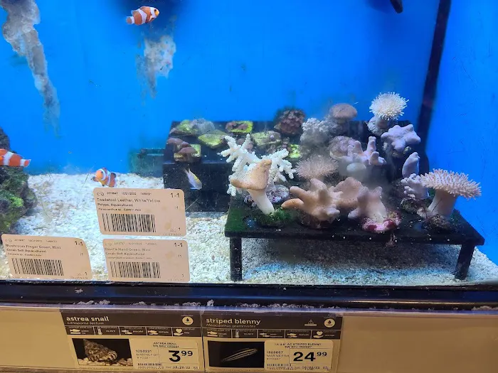 Petco Picture 4