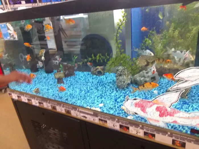Petco Picture 7