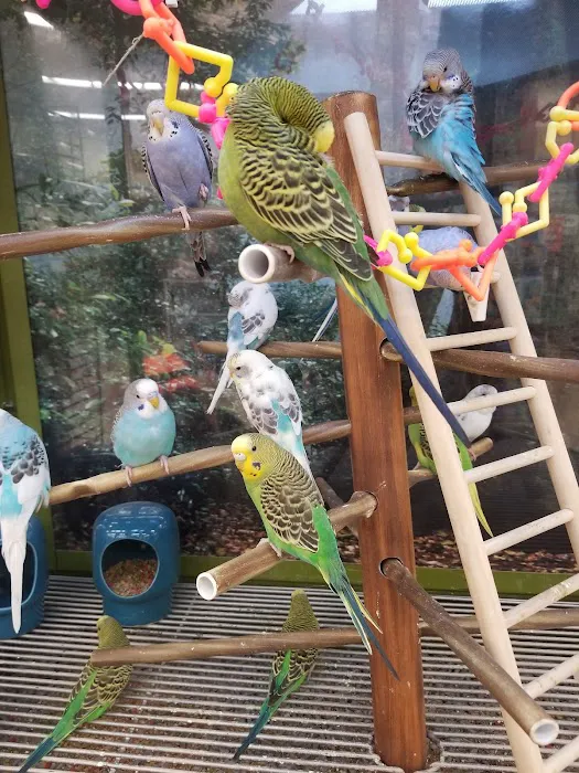 Petco Picture 9