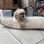 Mendham Animal Hospital