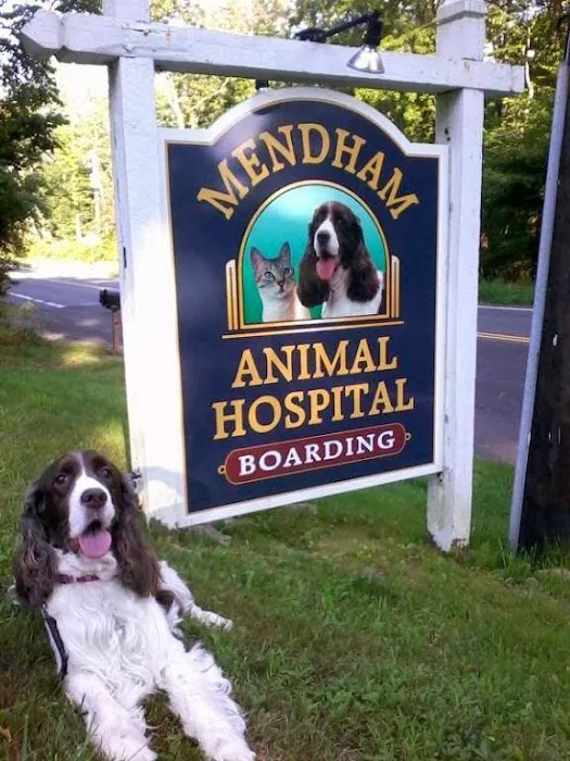 Mendham Animal Hospital Picture 2