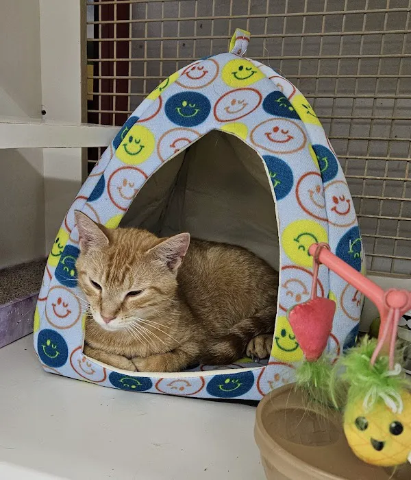 Petco Picture 1