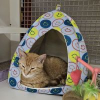 Petco ico