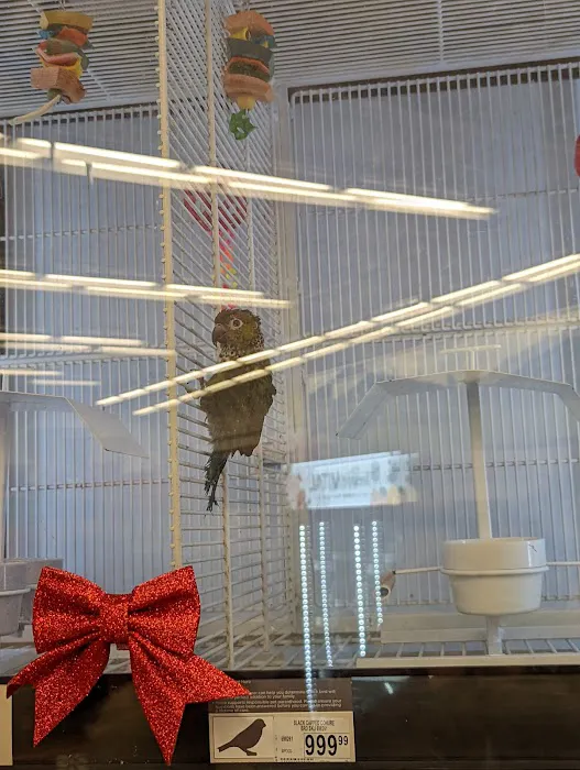 Petco Picture 3