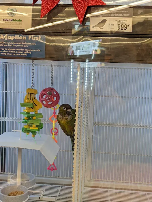 Petco Picture 7