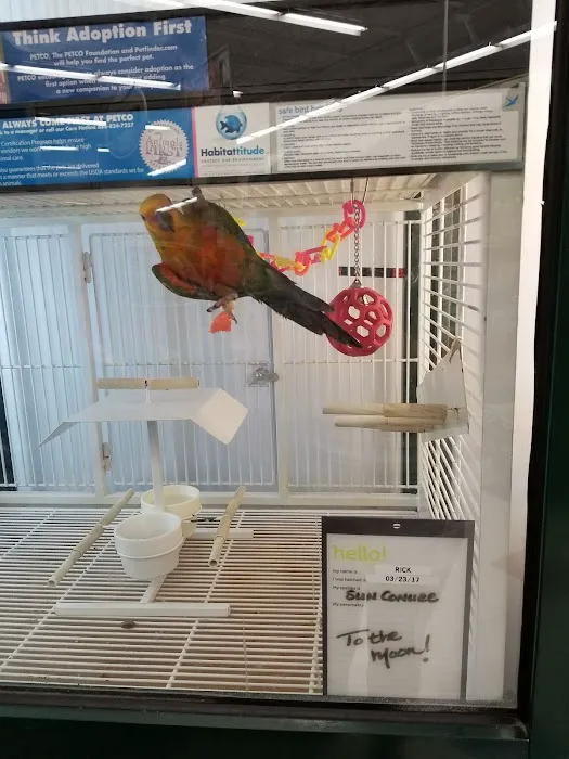 Petco Picture 6