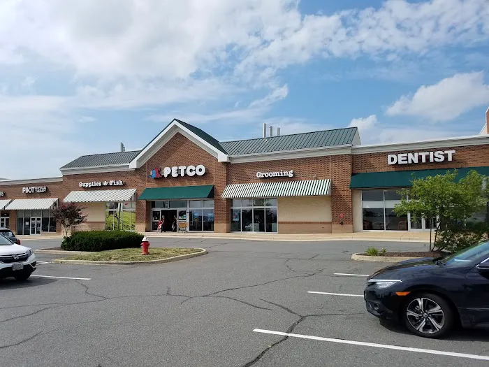 Petco Picture 8