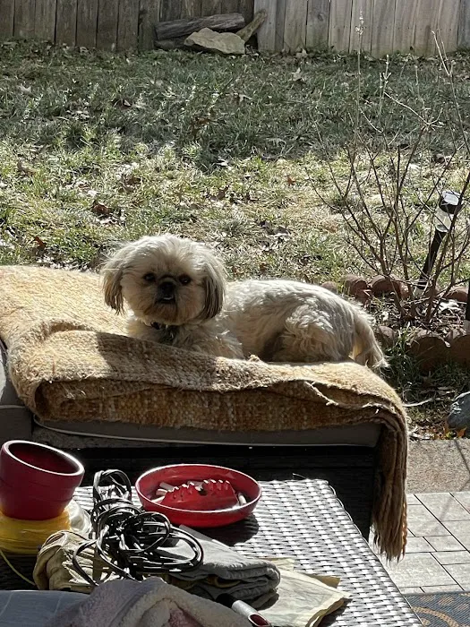 Belly Rubs Biscuit Bar & Spa Picture 4