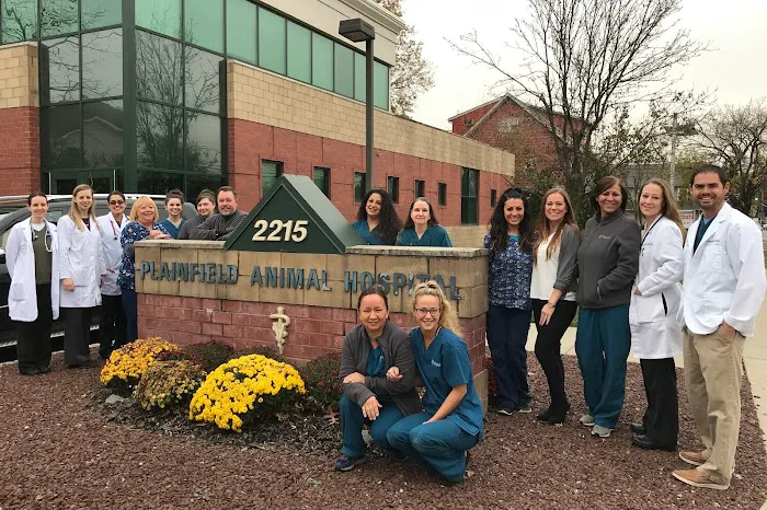 Plainfield Animal Hospital Picture 6