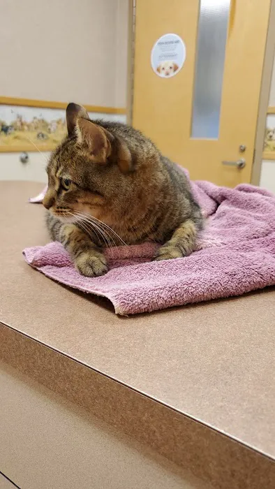 Plainfield Animal Hospital Picture 5