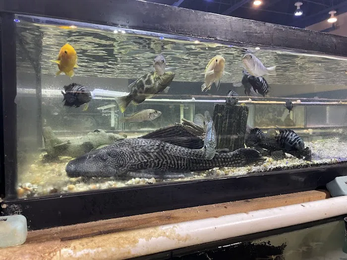 Vienna Aquarium & Pets Picture 4