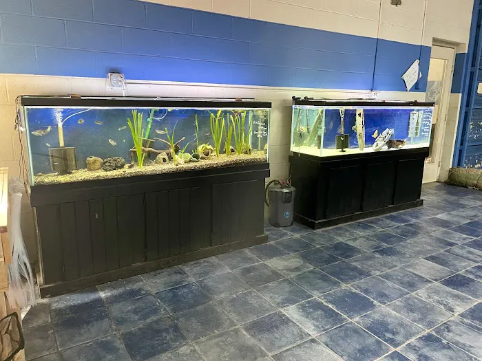 Vienna Aquarium & Pets Picture 5