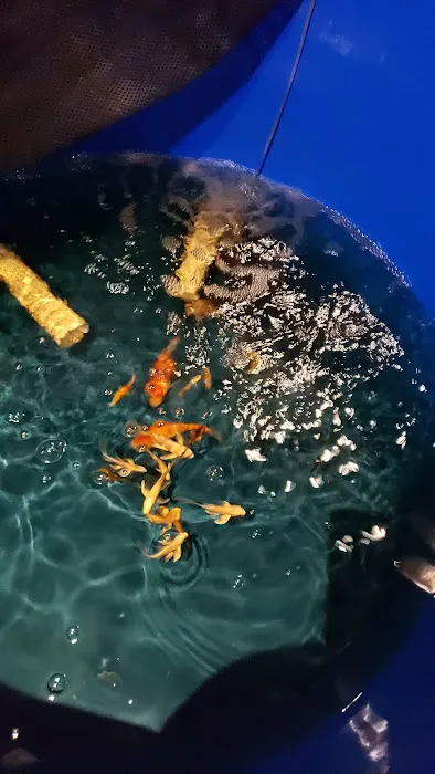 Vienna Aquarium & Pets Picture 8