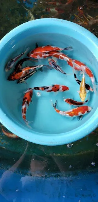 Vienna Aquarium & Pets Picture 10