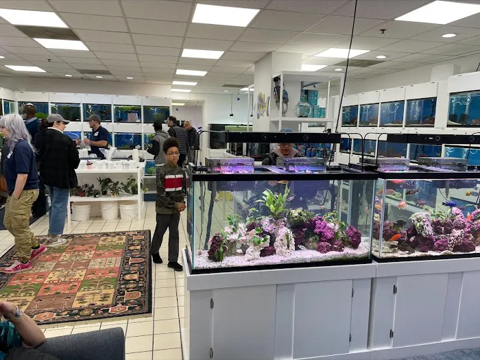 Capital Exotic Fish Picture 2