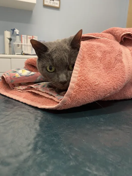 Oak Tree Animal Clinic Picture 4