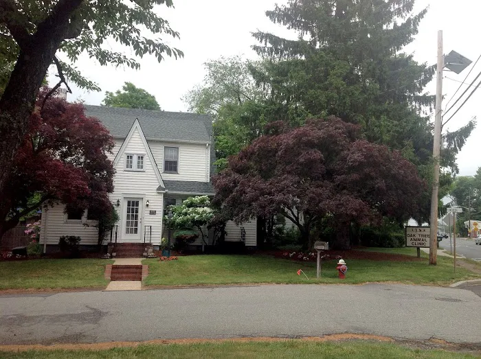 Oak Tree Animal Clinic Picture 6
