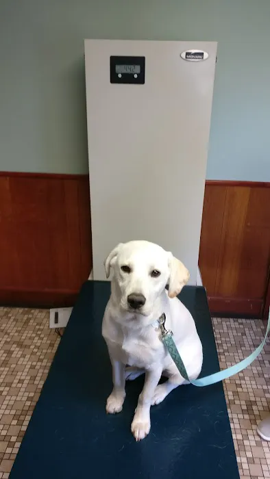 Oak Tree Animal Clinic Picture 10