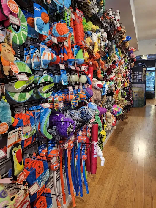 Weber's Pet Supermarket Picture 10