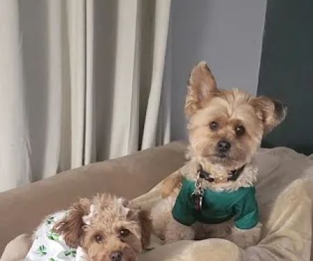 Banfield Pet Hospital