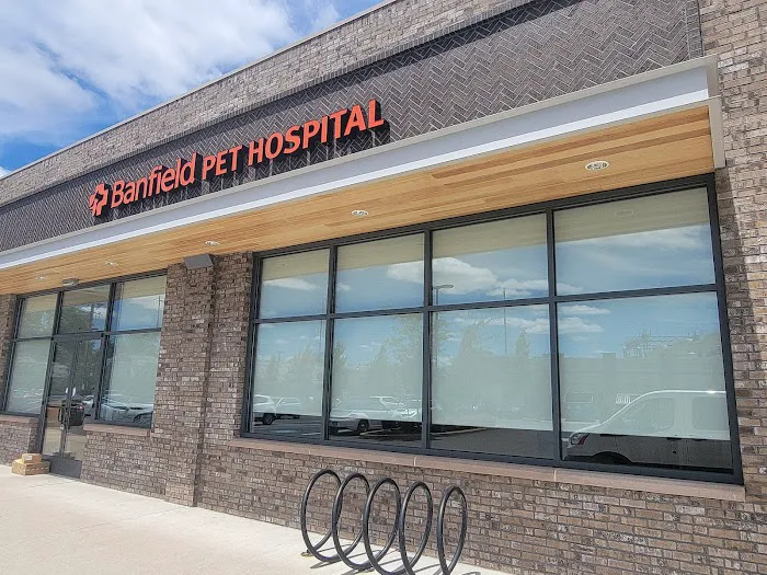 Banfield Pet Hospital Picture 8