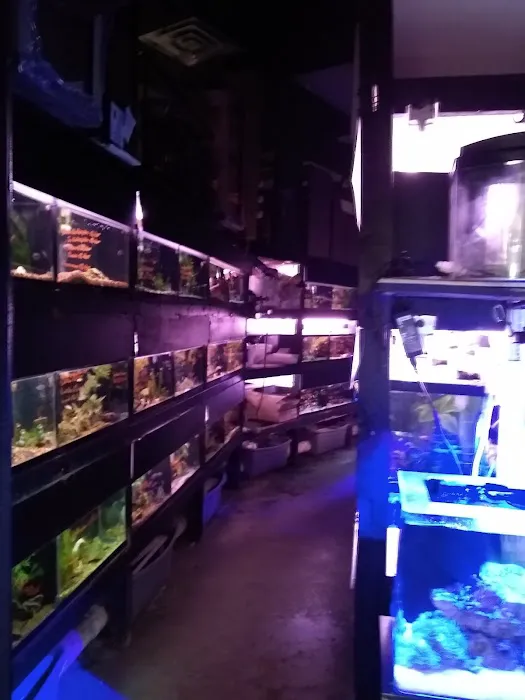 Rick's Fish & Pet Supply Picture 2