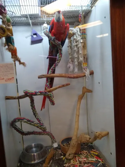 Rick's Fish & Pet Supply Picture 4