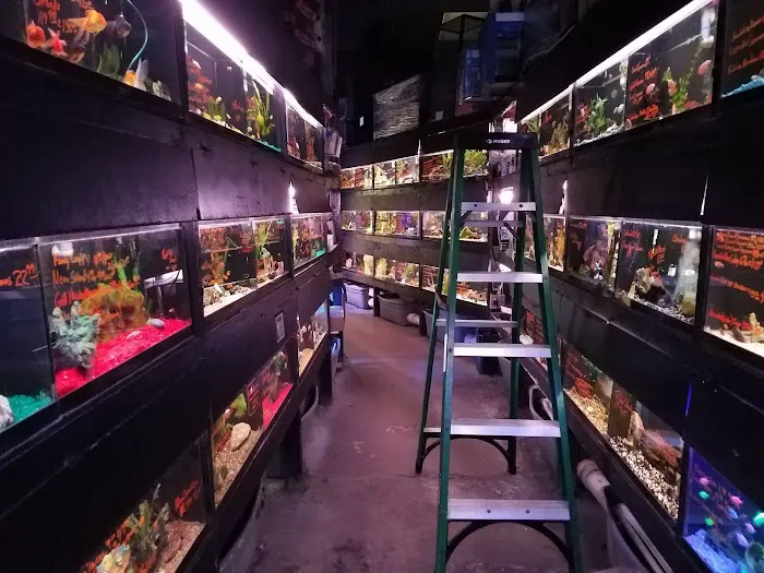 Rick's Fish & Pet Supply Picture 7