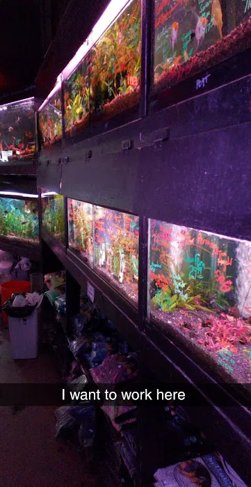Rick's Fish & Pet Supply Picture 10