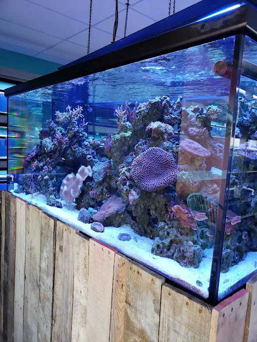 Fintastic Aquariums of Frederick Picture 1