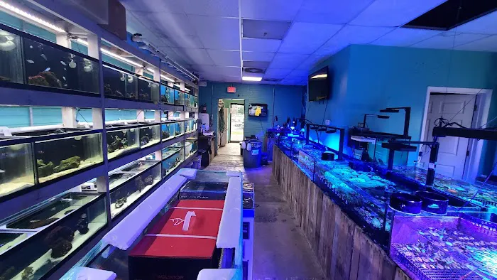 Fintastic Aquariums of Frederick Picture 2