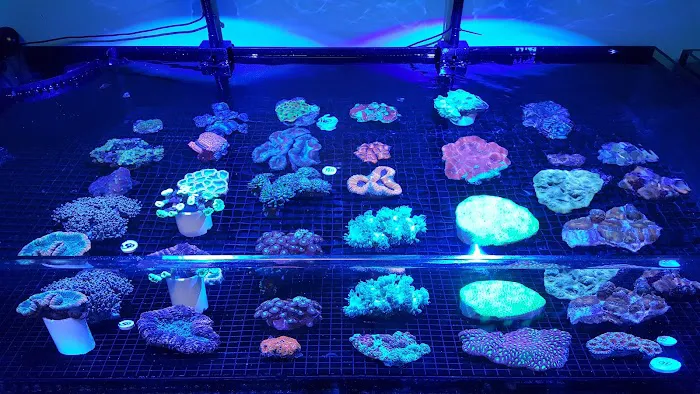 Fintastic Aquariums of Frederick Picture 5