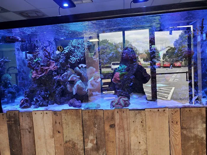 Fintastic Aquariums of Frederick Picture 4
