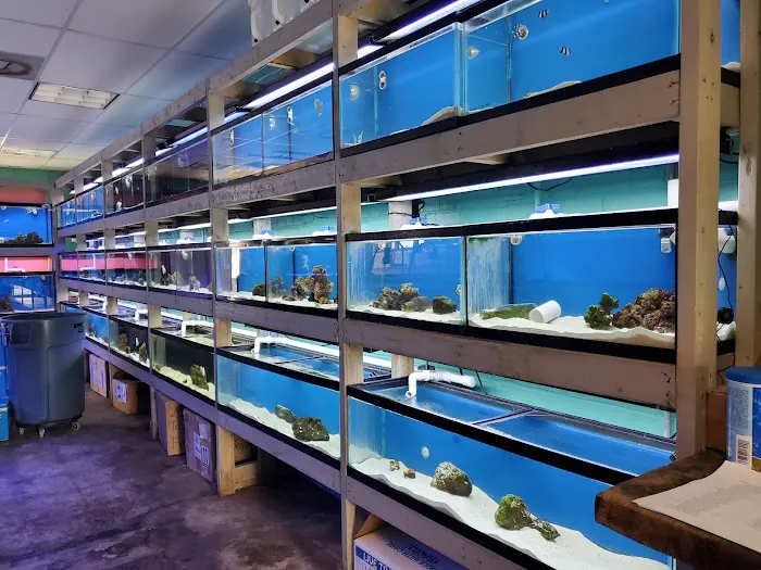 Fintastic Aquariums of Frederick Picture 6