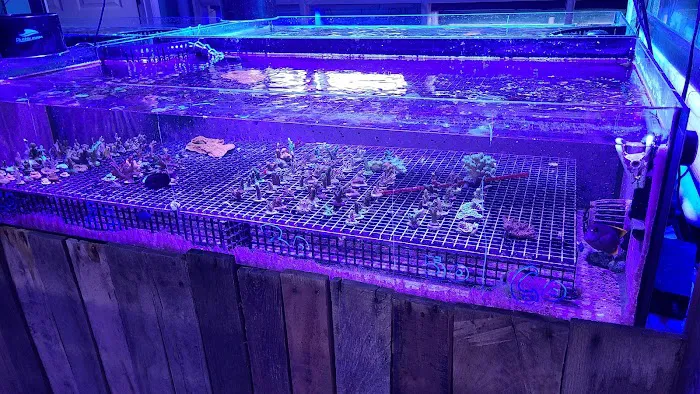 Fintastic Aquariums of Frederick Picture 8