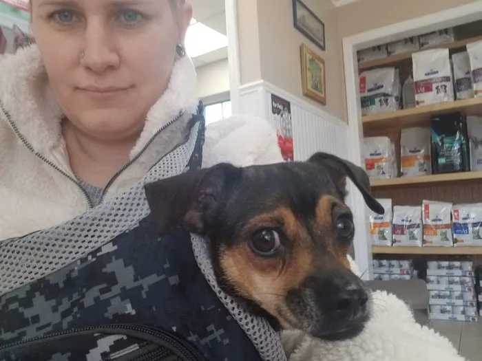 Metuchen Veterinary Hospital Picture 4