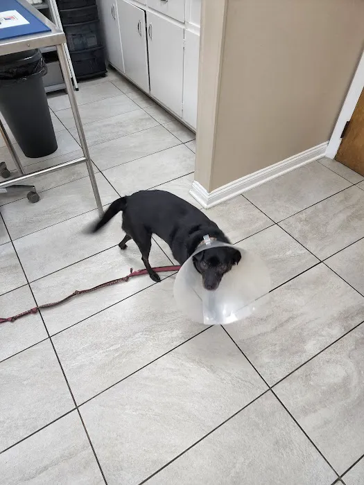 Metuchen Veterinary Hospital Picture 1