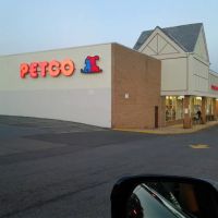 Petco ico