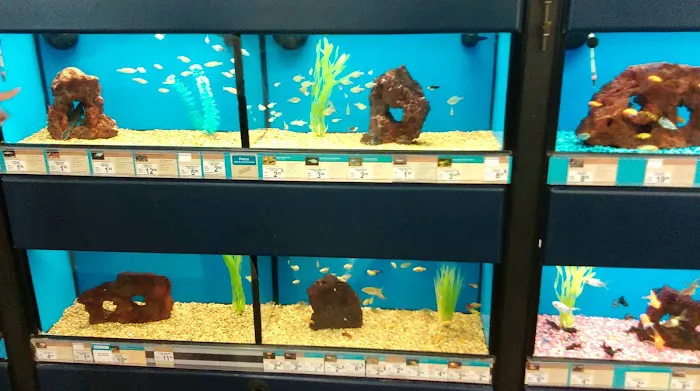 Petco Picture 2