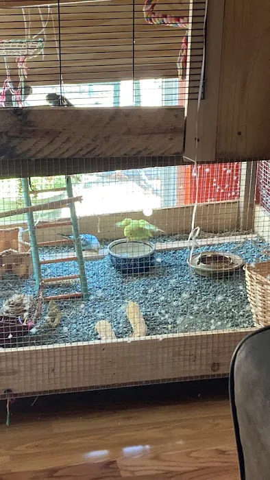 Petco Picture 6