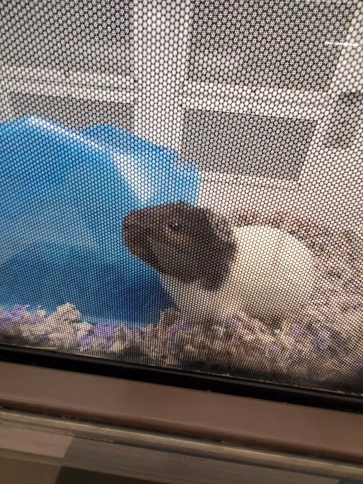 Petco Picture 10