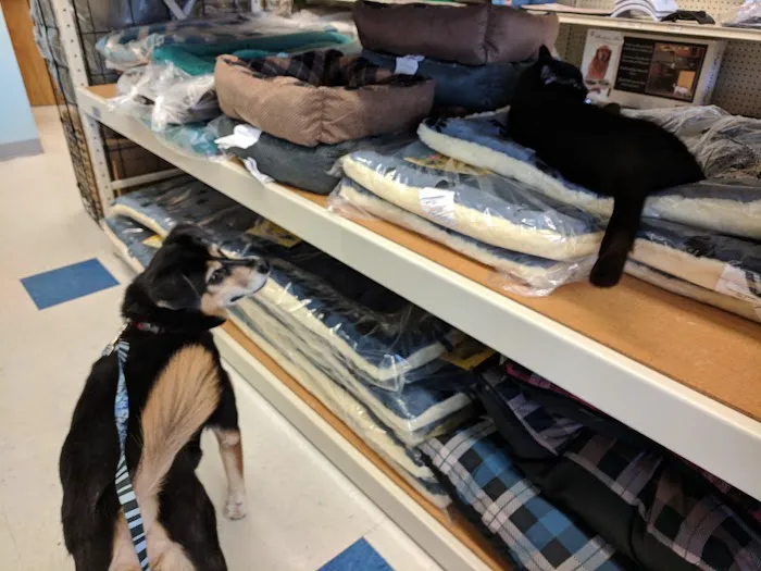 Weber's Pet Supermarket Picture 4