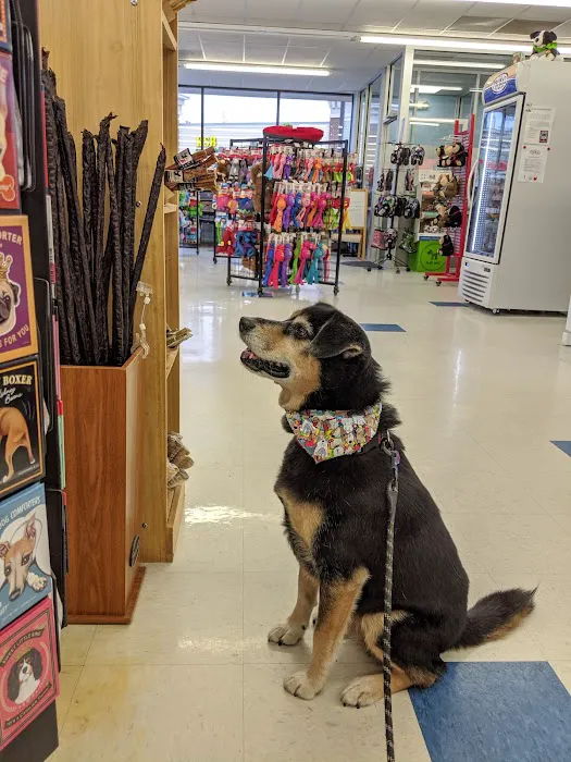 Weber's Pet Supermarket Picture 8