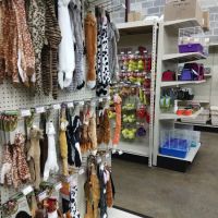 Just Cats Veterinary Care ico