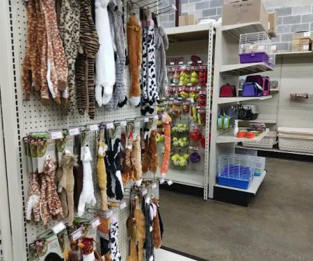 Just Cats Veterinary Care