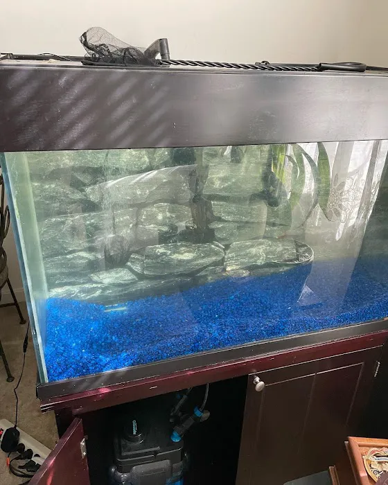 DMV aquarium hookup Picture 2