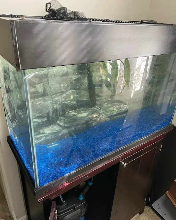 DMV aquarium hookup Picture 3